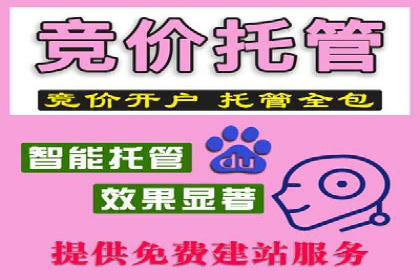 百度推广实战：助力企业快速占领市场份额